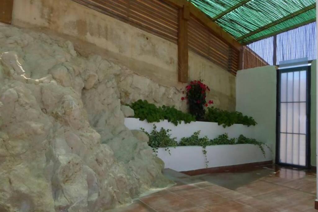 The Secret Garden Villa อาลิกันเต ภายนอก รูปภาพ